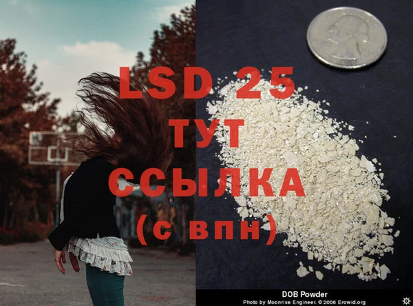 сатива Бронницы