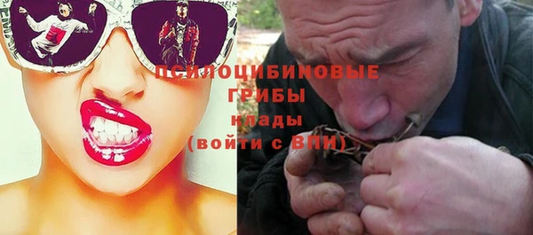 молекула духа Бородино
