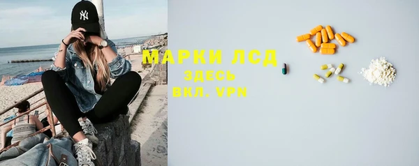 молекула духа Бородино