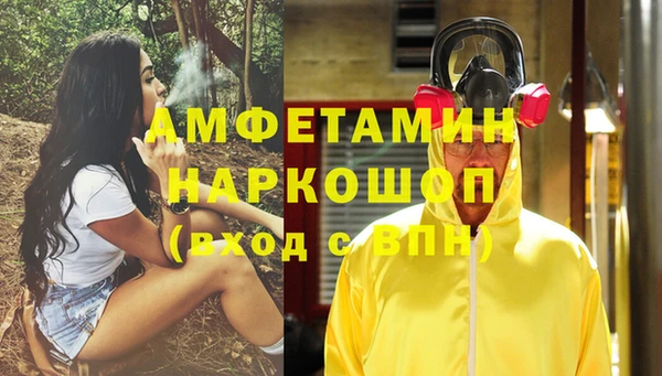сатива Бронницы