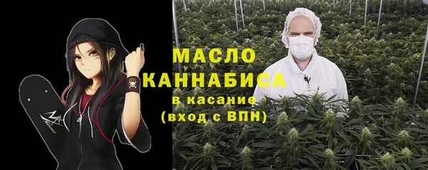 молекула духа Бородино