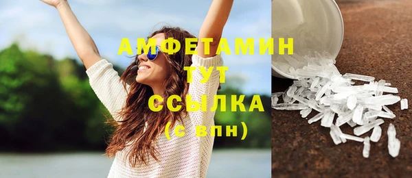молекула духа Бородино